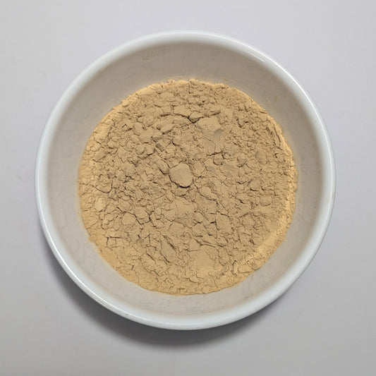 Lion’s Mane Capsules